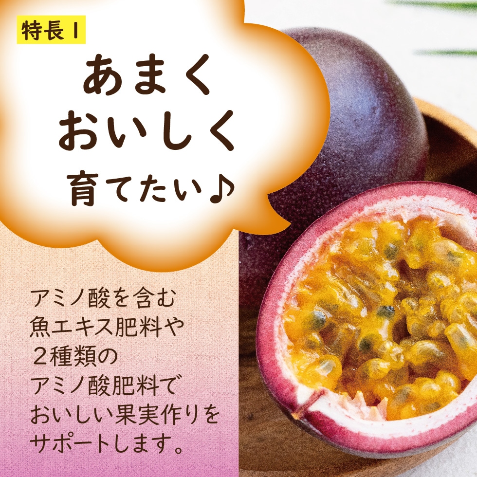パッションフルーツの肥料 100g×2袋入り【有機肥料製造メーカー】
